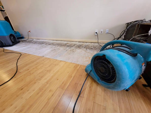 Professional Flood Damage Cleanup technician working in Wheat Ridge, CO